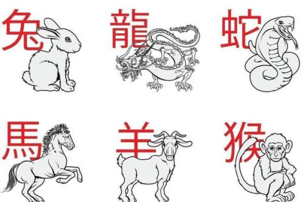 来龙去脉是什么生肖(100%最准的一肖)