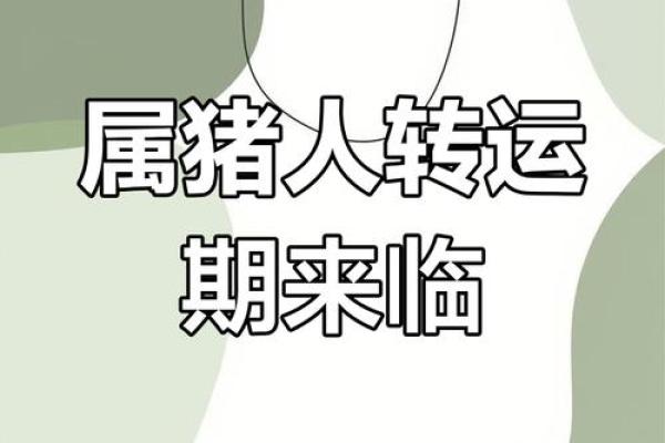属猪2025年的运势及运程_2025年属猪运势详解全年运程大揭秘 属猪2025年的运势及运程_2025年属猪运势详解全年运程大揭秘