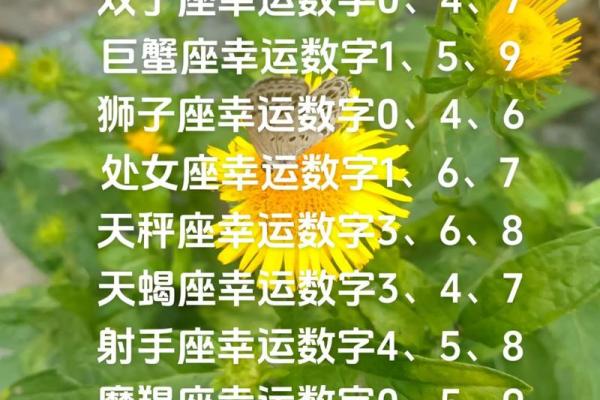 白羊座明日幸运色 白羊座明日幸运色