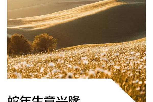 2025年开业最旺的日子和吉时 2025年开业最旺的日子和吉时