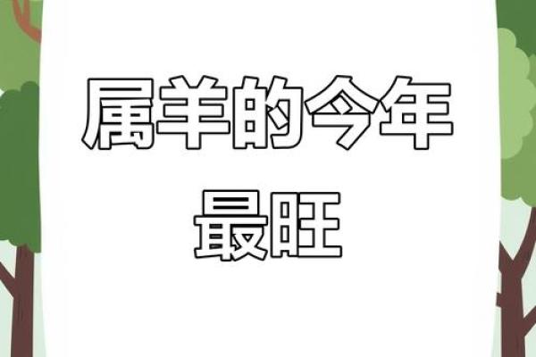 55年的羊2025年运势 2025年55年属羊人运势详解财运事业感情全解析 55年的羊2025年运势 2025年55年属羊人运势详解财运事业感情全解析