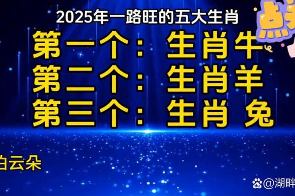 属羊男2025年运势和财运怎么样 2025年属羊男运势与财运全解析