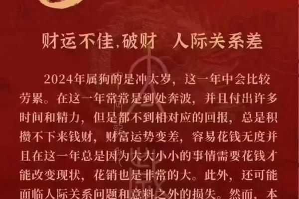 属狗人今天的运气和财运 狗今天偏财运最旺时间