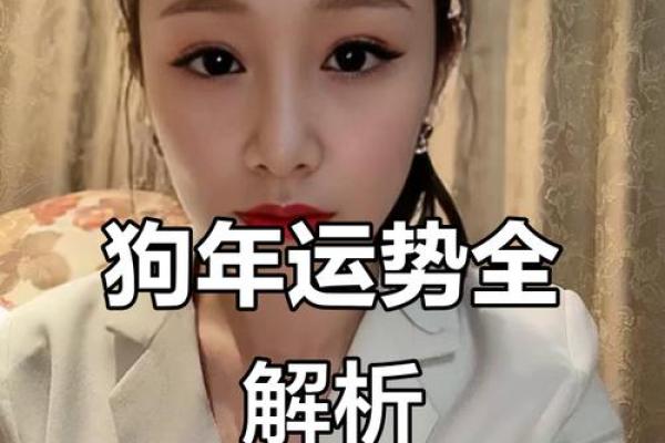 2025年属狗招财颜色衣服推荐助你财运亨通 2025年属狗招财颜色衣服推荐助你财运亨通