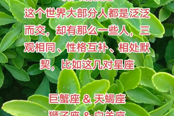 巨蟹与天秤的爱情运势(巨蟹座和天秤座的婚姻)