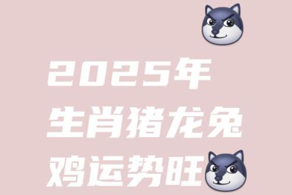 71年属猪人2025年运势及运程_2025年71属猪人的全年运势如何