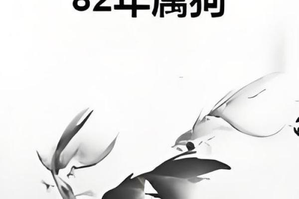 82年属狗人2025年运势完整版_2025年属狗运势及运程1994年生人 82年属狗人2025年运势完整版_2025年属狗运势及运程1994年生人