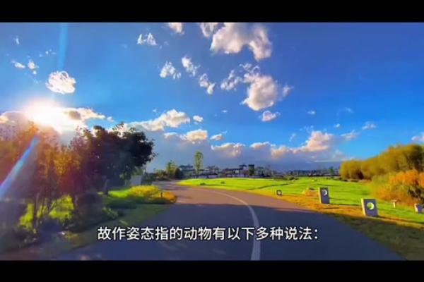 誓无二心打一准确生肖(誓无二心打一准确生肖动物) 誓无二心打一准确生肖(誓无二心打一准确生肖动物)