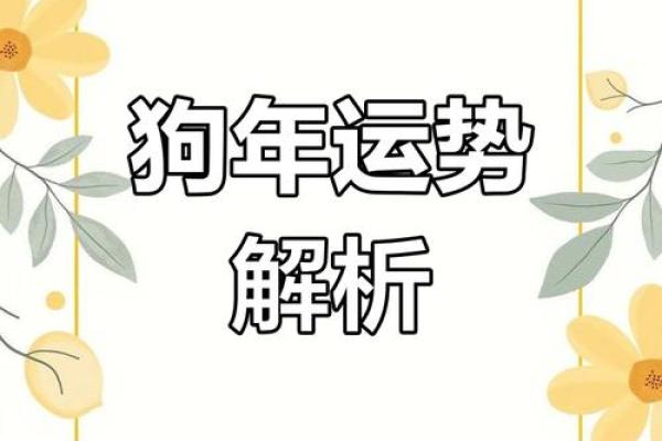 2025属狗的幸运数字 最旺属狗的5个数字 2025属狗的幸运数字 最旺属狗的5个数字