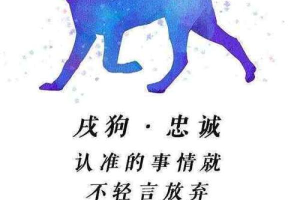 2025属狗的多大了_属狗2025年属狗每月运势和运