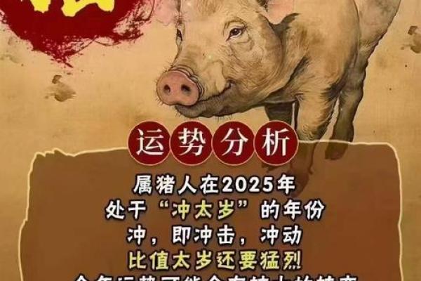 2025属猪人全年运势如何 2025年属猪人全年运势详解财运事业感情全解析 2025属猪人全年运势如何 2025年属猪人全年运势详解财运事业感情全解析
