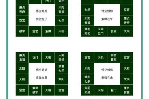 2025年4月30日辰时女命紫微斗数全解盘