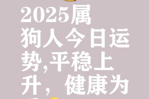 属狗2025年的财运_2025年属狗财运大揭秘财富运势如何提升 属狗2025年的财运_2025年属狗财运大揭秘财富运势如何提升