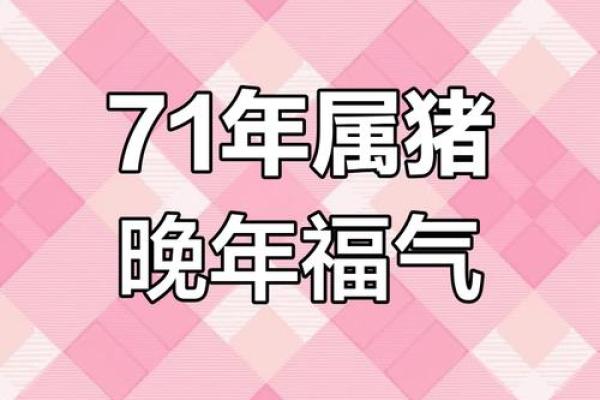 属猪53岁有个大灾 属猪53岁有个大灾2024 属猪53岁有个大灾 属猪53岁有个大灾2024