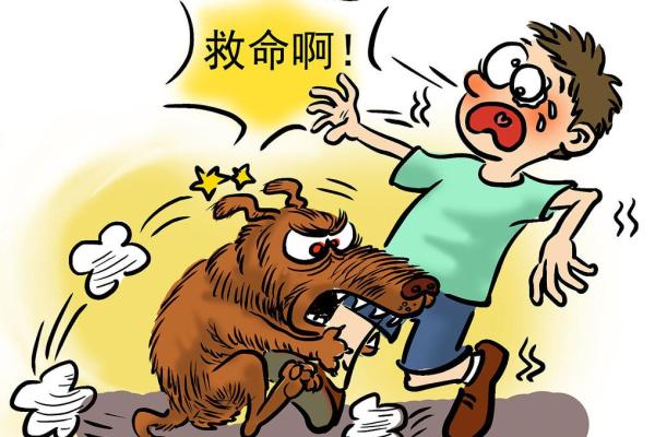 梦见被小狗咬 梦见被小狗咬