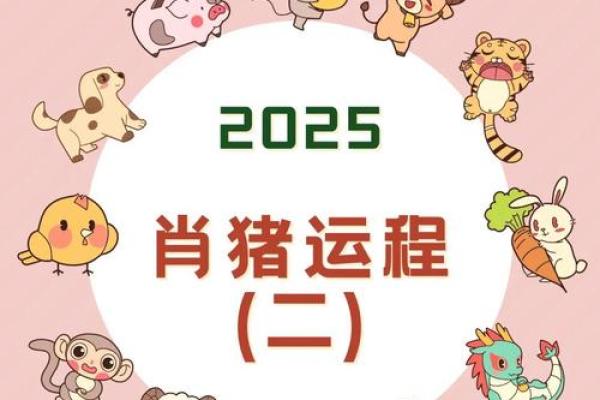 2025猪年运势及运程 2025猪年运势详解全年运程预测与开运指南