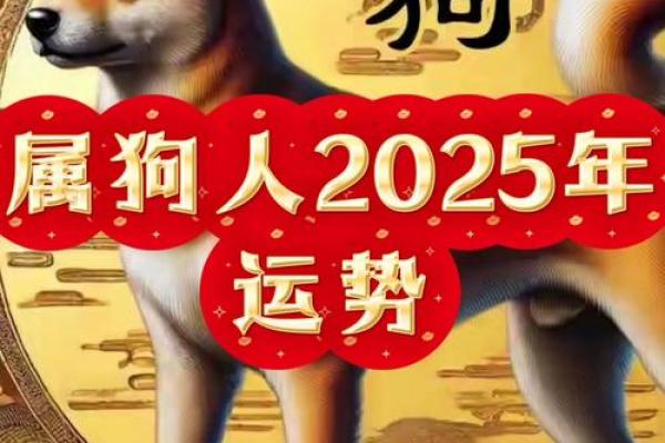 2025年属狗的年龄_2025年属狗的多少岁 2025年属狗的年龄_2025年属狗的多少岁