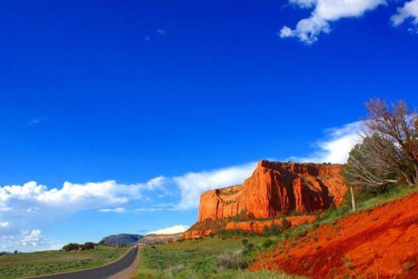 临危不惧打一个正确生肖 临危不惧打一个正确生肖