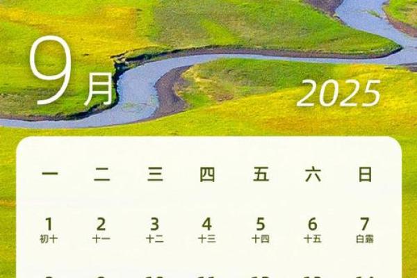2025年4月29日戌时女命紫微斗数全解盘 2025年4月29日戌时女命紫微斗数全解盘
