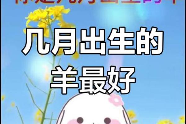 生肖属羊2025年11月结婚最吉利的日子有哪些