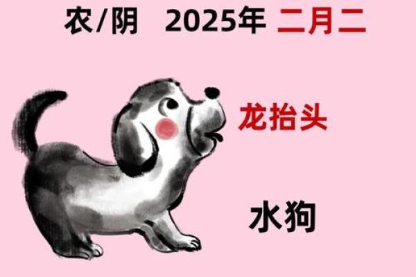 生肖狗2024年农历二月提车黄道吉日 属狗阴历二月提车最佳日子
