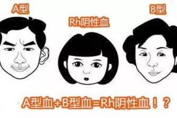什么是血型的求爱讯号