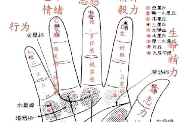 女生手相看命运，解析八字大全