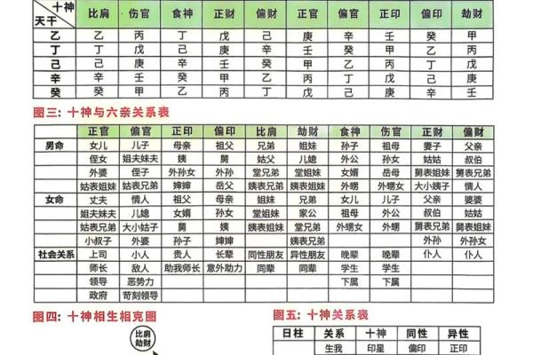 八字十神——家族关系谱 八字十神——家族关系谱