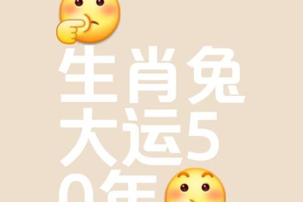 属兔八字 属兔八字