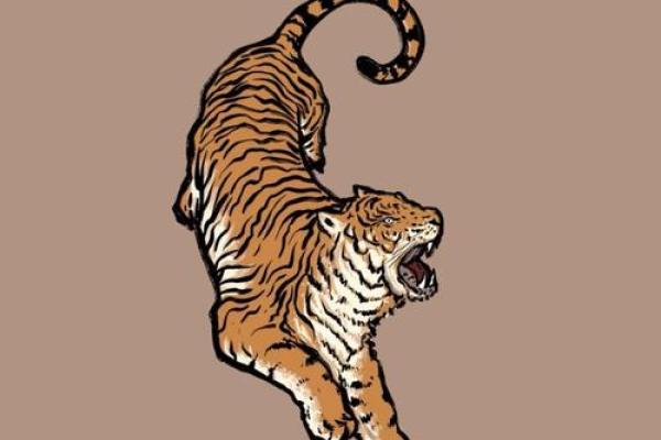 生肖虎开运改运方法，看八字改变运势