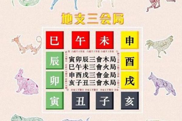 八字地支三会是怎么应用的？