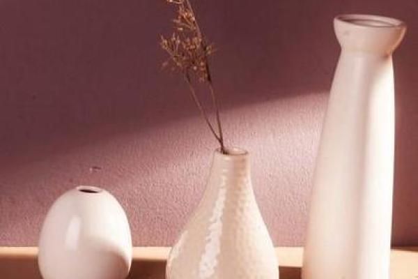 心理测试-你最想摆哪个花瓶在家？测你和爱人的命谁更好？