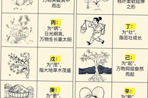 八字木多的人需要注意什么呢