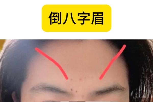 八字眉的人命运究竟如何- 八字眉的人命运究竟如何-