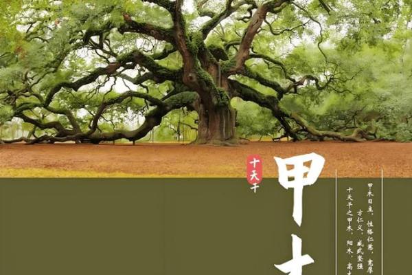 八字木多的人是富贵命吗