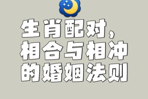 生肖八字合婚 生肖八字合婚
