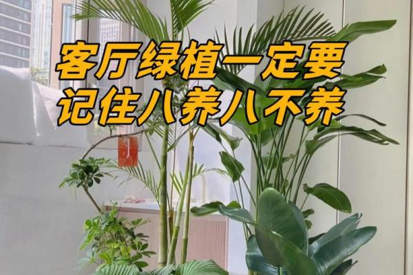 风水：客厅绝对不能摆放的东西