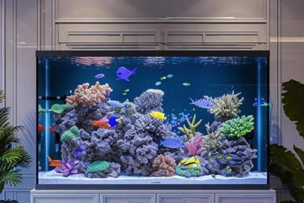 书房里摆放鱼缸养鱼这样风水会好吗 书房里摆放鱼缸养鱼这样风水会好吗