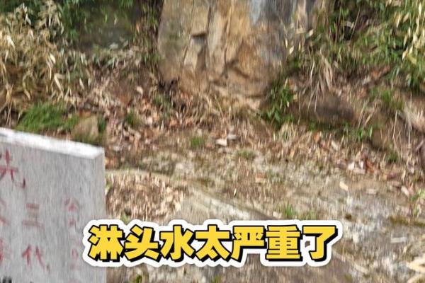 坟墓风水：坟墓出现冒青烟异象