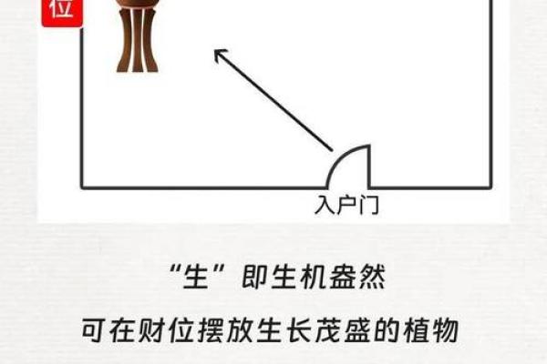 办公室风水知识 告诉你财位如何找 摆上这几样立
