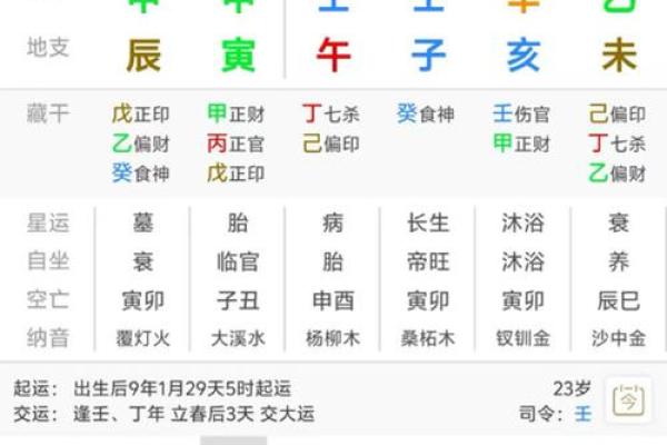 自带贵气的八字-日元身旺以财官为用神