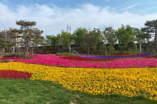 新郑新区风水好吗