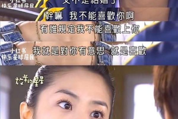 正版麦玲玲算八字语对话