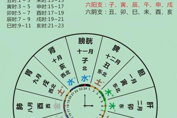 八字如何推断兄弟姐妹的个数,知识点哦 八字如何推断兄弟姐妹的个数,知识点哦