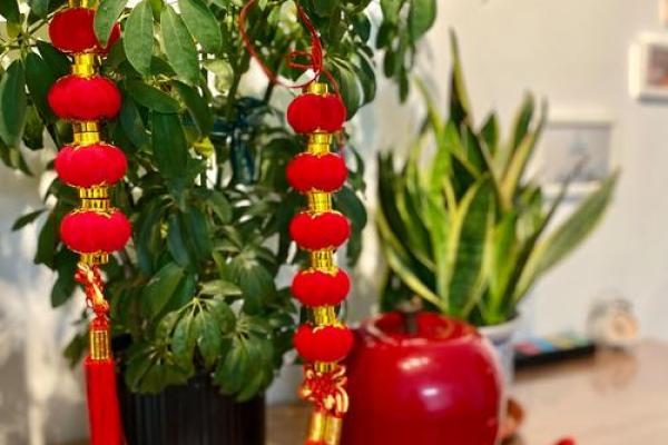 家里客厅挂灯笼的禁忌有哪些风水观点 家里客厅挂灯笼的禁忌有哪些风水观点