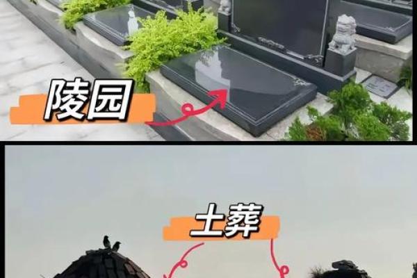 墓地风水会影响子孙后代