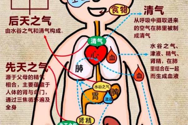 风水影响我们的身体健康情况 风水影响我们的身体健康情况
