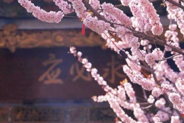 犯桃花风水布局禁忌,你知道哪些? 犯桃花风水布局禁忌,你知道哪些?