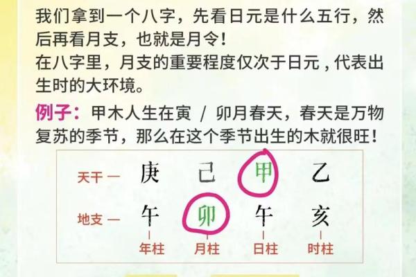 八字极弱从弱什么意思 八字极弱从弱什么意思