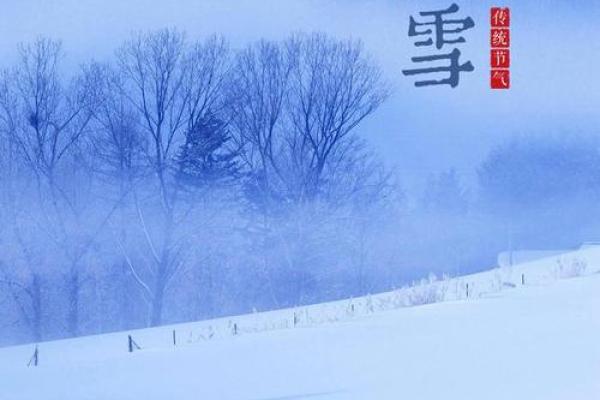 大雪节气风水,新年开运好兆头 大雪节气风水,新年开运好兆头
